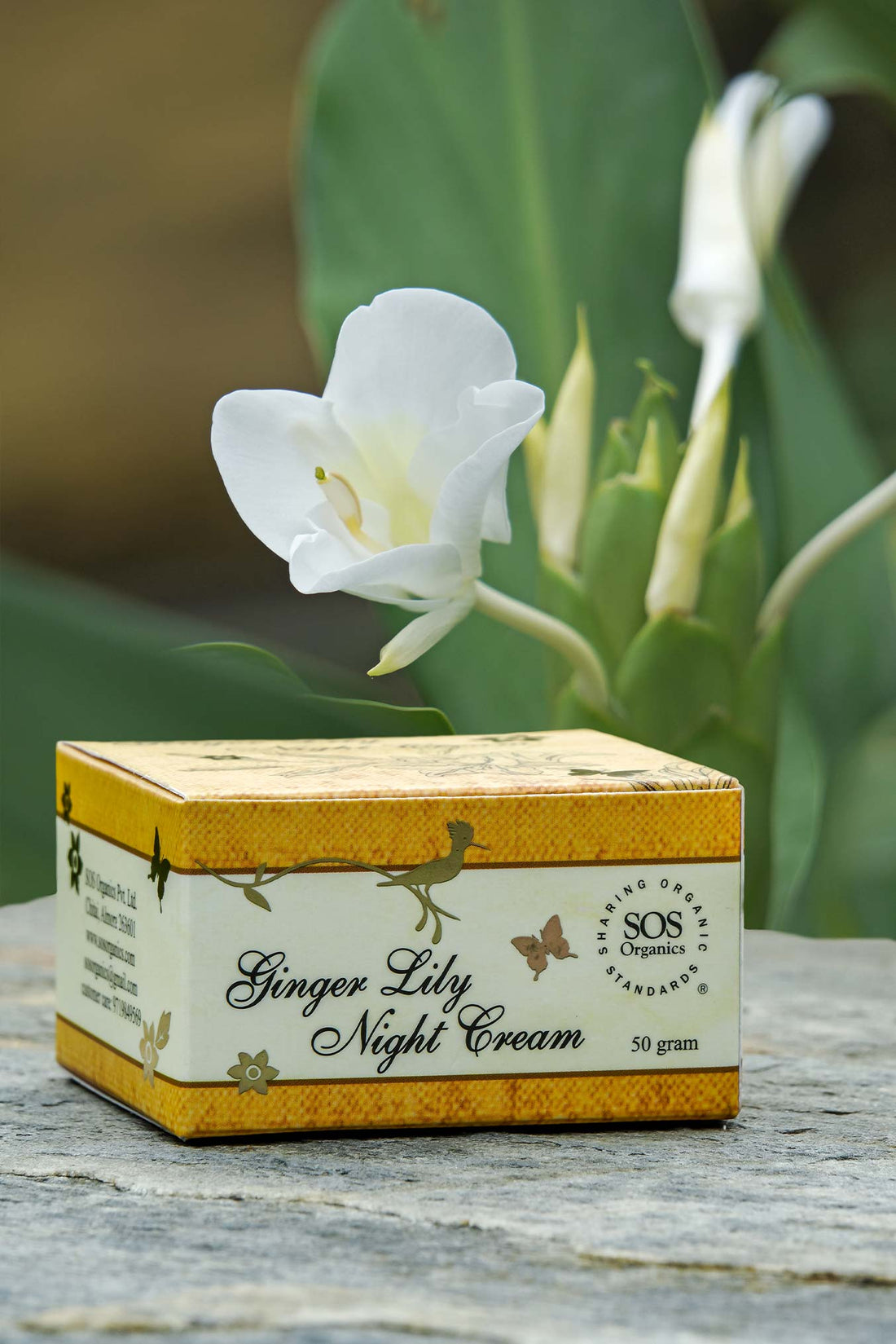 Night Cream | (Ginger Lily) - Sos Organics - 50gm