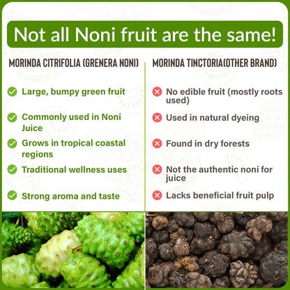 Noni Juice| Organic Noni Fruit Juice -Vegan, Non GMO - No Added Sugar, Flavors, or Preservatives- Grenera 500ml