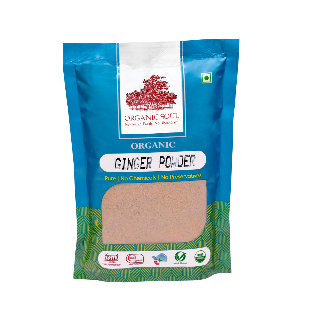 Dry Ginger Powder | USDA Organic - Organic Soul – 100gm