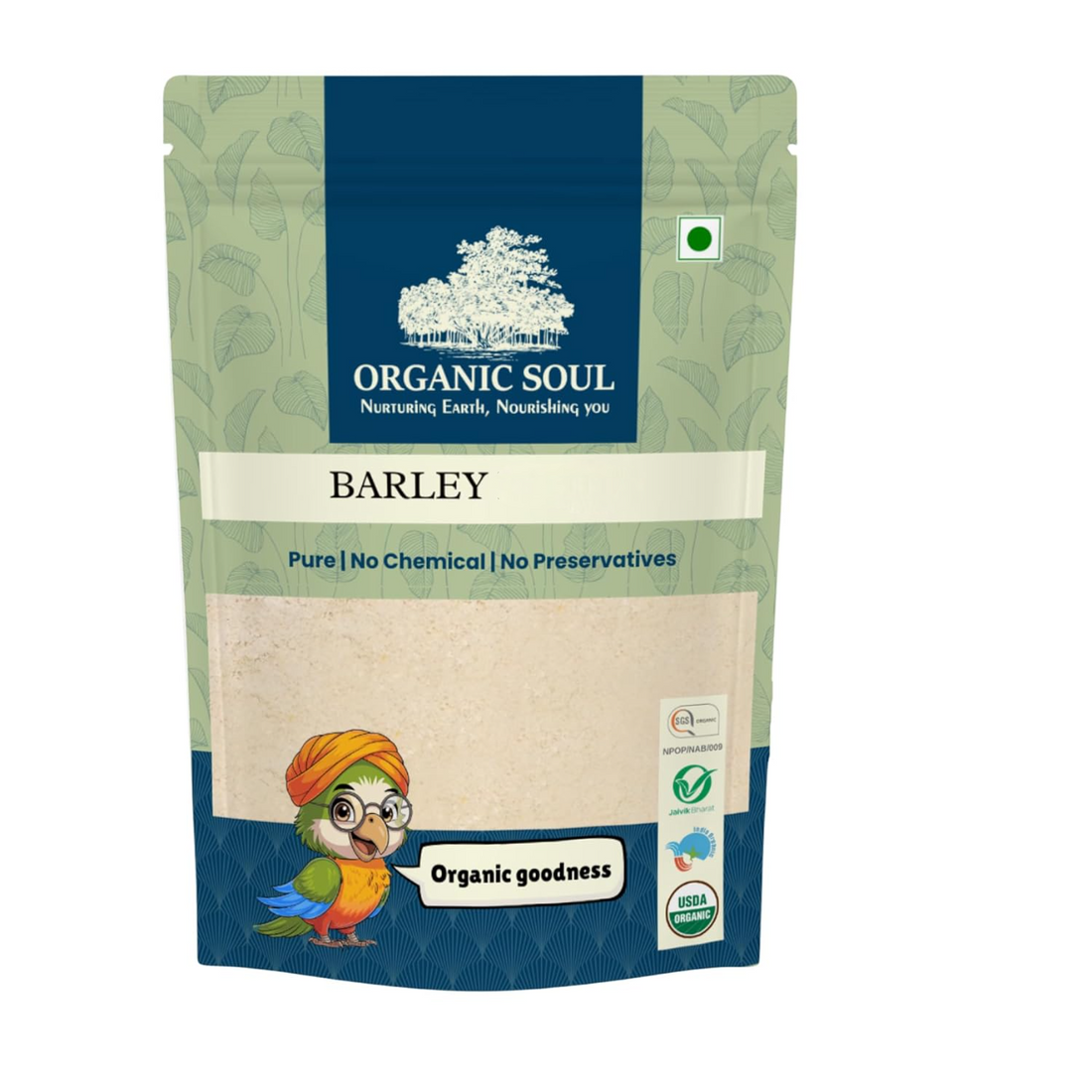 Barley Whole | Pure - USDA Organic - No Chemical & No Added Preservatives - Organic Soul - 500gm