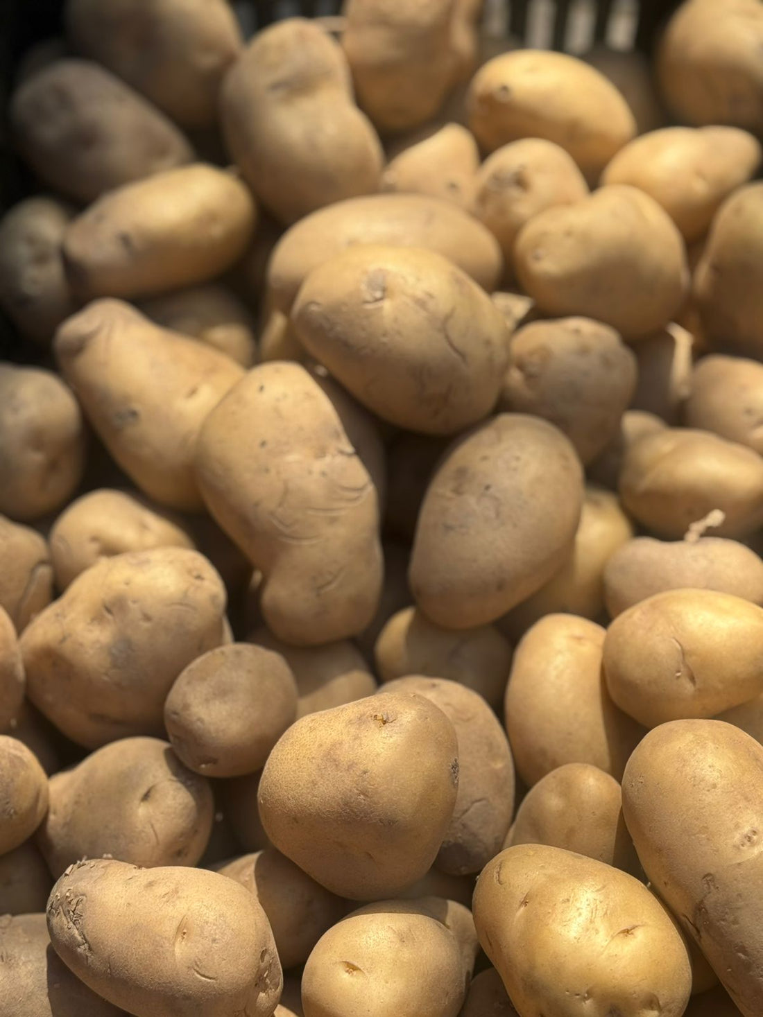 Potatoes | Pahadi Potatoes (Aloo) - Solan - Himachal Pradesh - Organically Grown