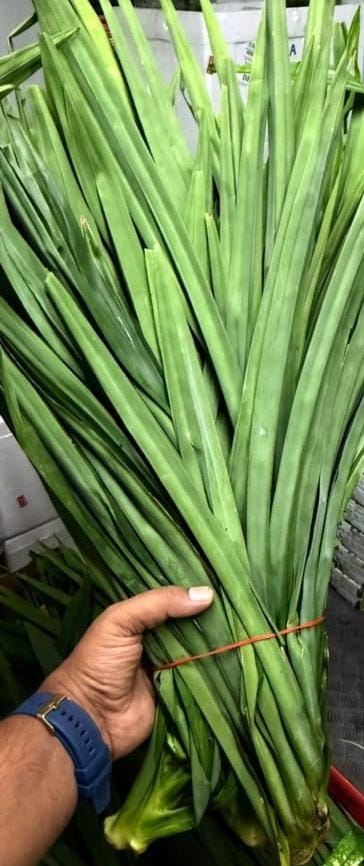 Pandan Leaves | (Spiti Valley) - Organically Grown