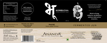Kombucha | Pause (Lemon, Ginger, Honey Jun Tea) - Ananda - Unpasteurized - Natural – No Artificial Flavor &amp;amp; Preservatives – Bhu – 250ml