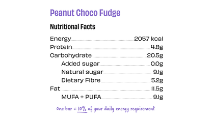 Peanut Choco Fudge Bar | (Made With Peanut, Dates &amp;amp; Cocoa) - Vegan, Gluten Free, Dairy Free &amp; No Added Sugar - The Whole Truth – 40gm