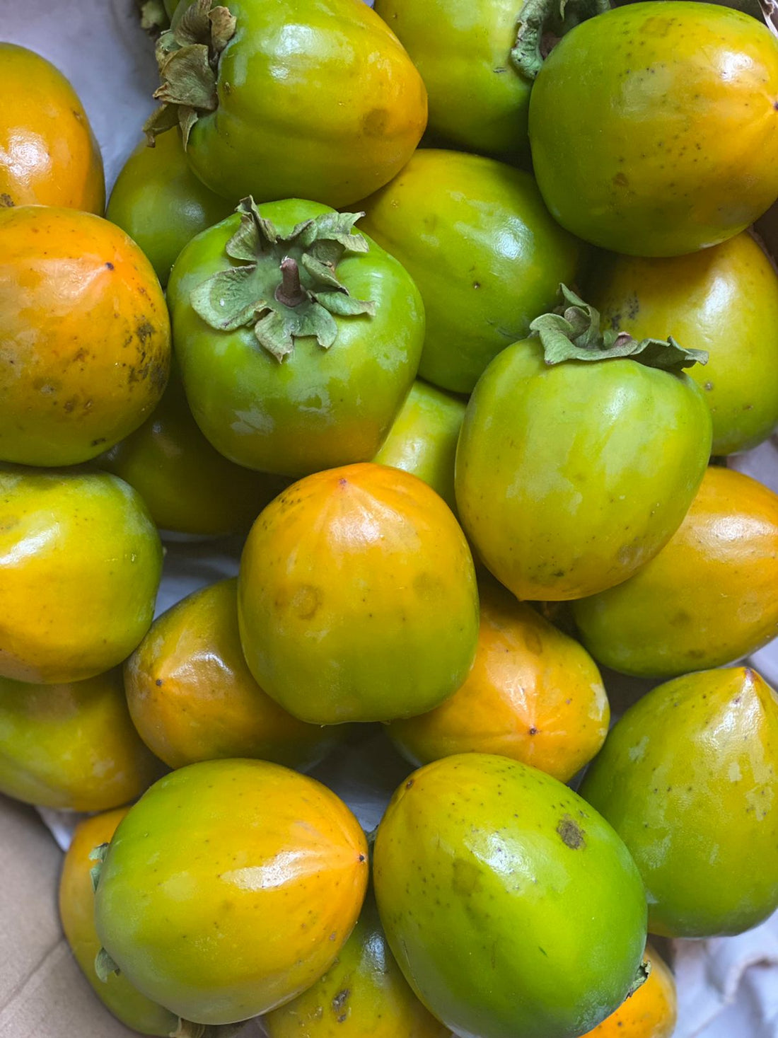 Persimmon | (Narkanda, Himachal Pradesh) - Organically Grown - Packed with Vitamins A &amp; C &amp; Dietary Fiber