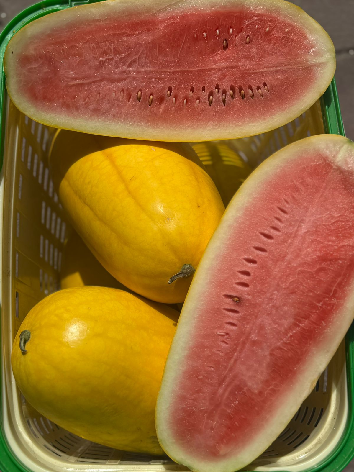 Watermelon | Pink Yellow Watermelon (Saharanpur) - Organically Grown- Certified organic -(Approx 2500 gm)