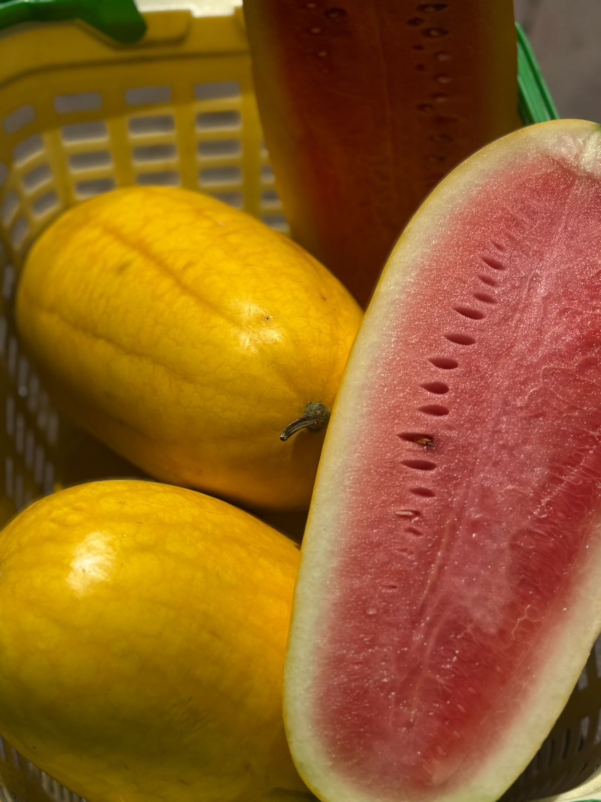 Watermelon | Pink Yellow Watermelon (Saharanpur) - Organically Grown- Certified organic -(Approx 2500 gm)