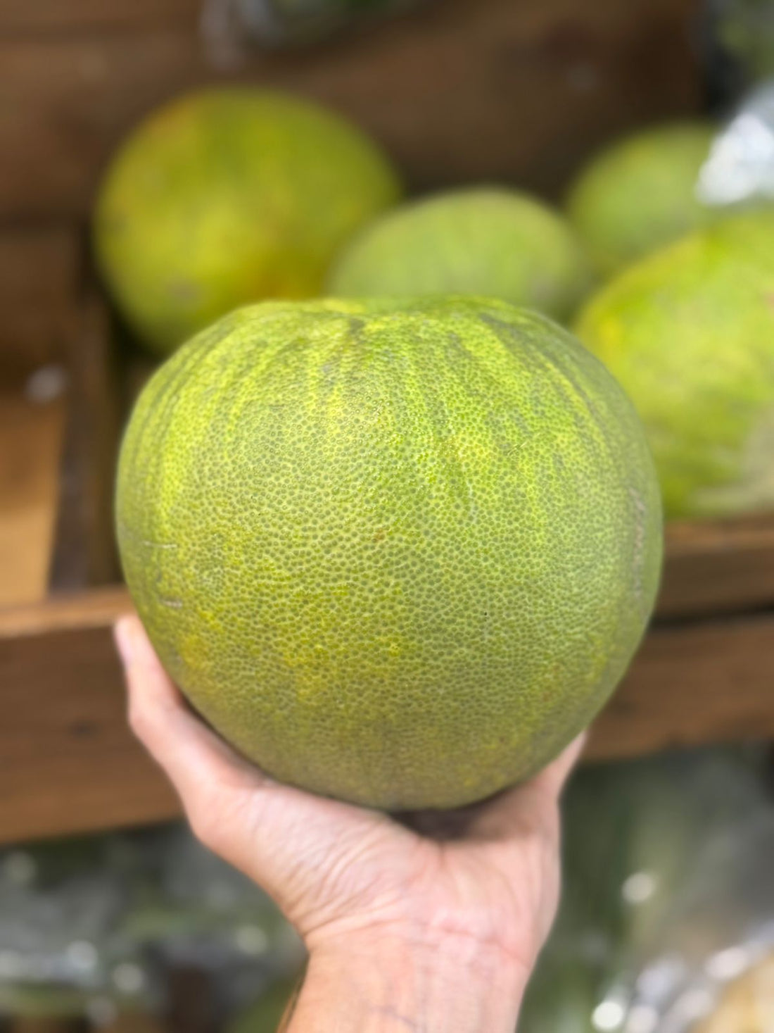 Pomelo | (Paonta Sahib)