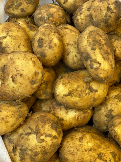 Potatoes | (Sonipat) - Good Source Of Fiber - Certified Organic