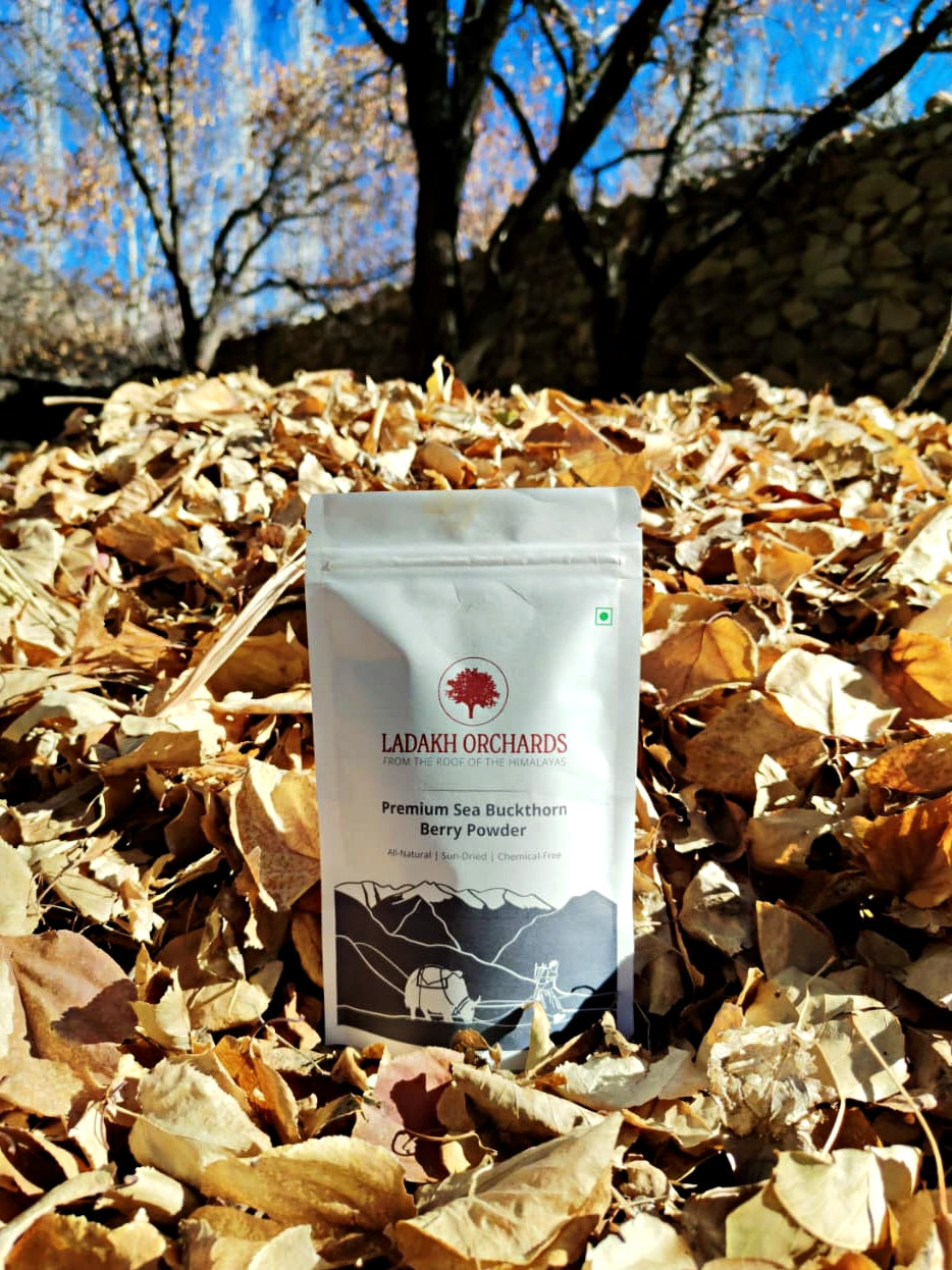 Sea Buckthorn Berry Powder | Premium Dried Sea Buckthorn Berry Powder- From The Foothills Of The Himalayas - Sun Dried - All Natural & Chemical Free - Ladakh Orchards - 100gm