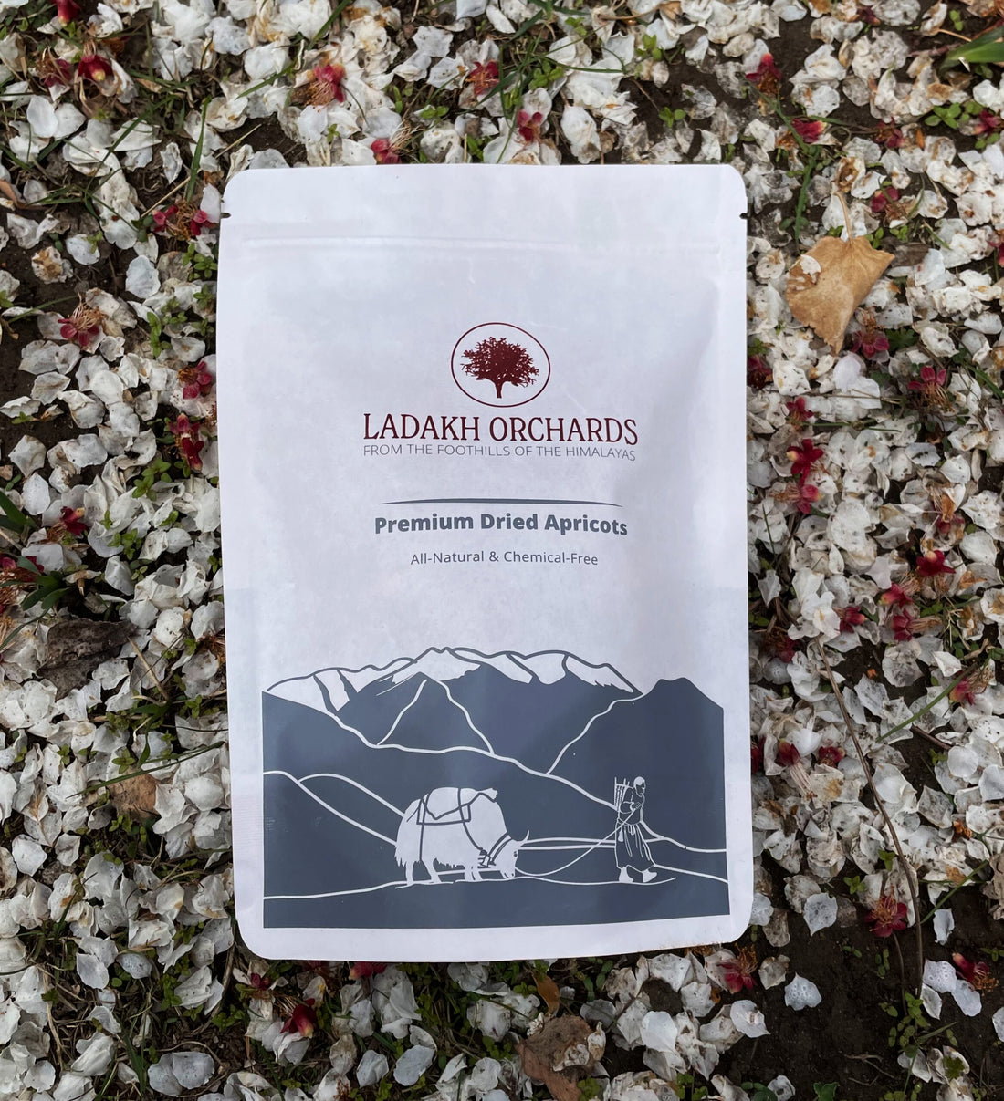 Apricots | Premium Dried Apricots - From The Foothills Of The Himalayas - Sun Dried - All Natural & Chemical Free - Ladakh Orchards - 500gm