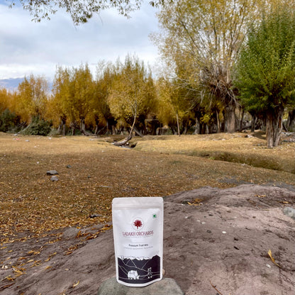 Trail Mix | Premium Trail Mix - From The Foothills Of The Himalayas - Sun Dried - All Natural &amp; Chemical Free - Ladakh Orchards - 250gm