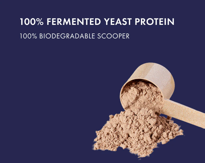 Protein Powder | Classic Unflavoured (31g Protein Per Serving) - Fermented Yeast Protein – No Nonsense – No Added Sugar, No Added Sugar &amp; No Added Artificial Flavours – Cosmix – 500gm