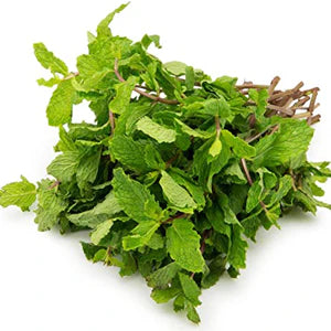 Pudina Raita Masala | For Salads, Curd, Raita, Buttermilk - 100% Natural - Phulo Phalo - 70gm