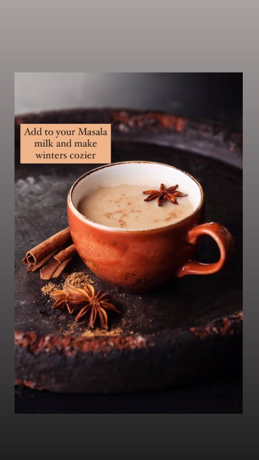 Pumpkin Pie Spice Mix - Gluten Free – The Nibble Box – 30gm