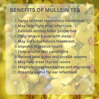Tea | Pure Mullein – Dried Tea Cut - Himalayan Sourced – Traditional Medicinal Tea – Organic – Healthy Lung Detox, Caffeine Free &amp;amp; No Added Sugar – Vaastavik – 100gm