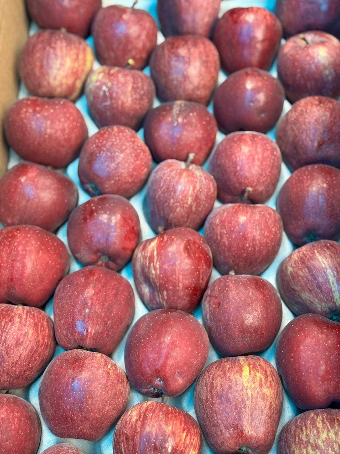 Spiti Red Apples | Red Kan Apple - No Wax-Certified Organic by Himachal Organic