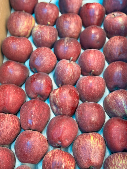 Spiti Red Apples | Red Kan Apple - No Wax-Certified Organic by Himachal Organic