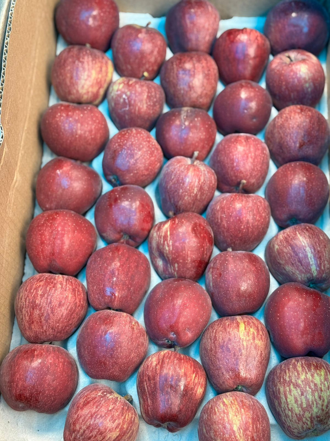 Spiti Red Apples | Red Kan Apple - No Wax-Certified Organic by Himachal Organic
