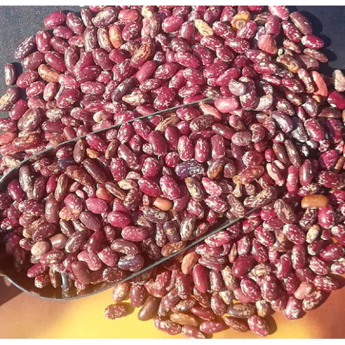 Rajma | (Joshimath) - Himalaya 2 Home - 500gm