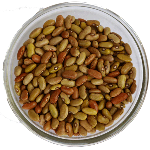 Rajma Mix | Himalaya 2 Home - 500gm