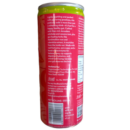 Soda | Raspberry Lemonade - Made With Real Fruit - No Added Sugar - Atmosphere - 250ml