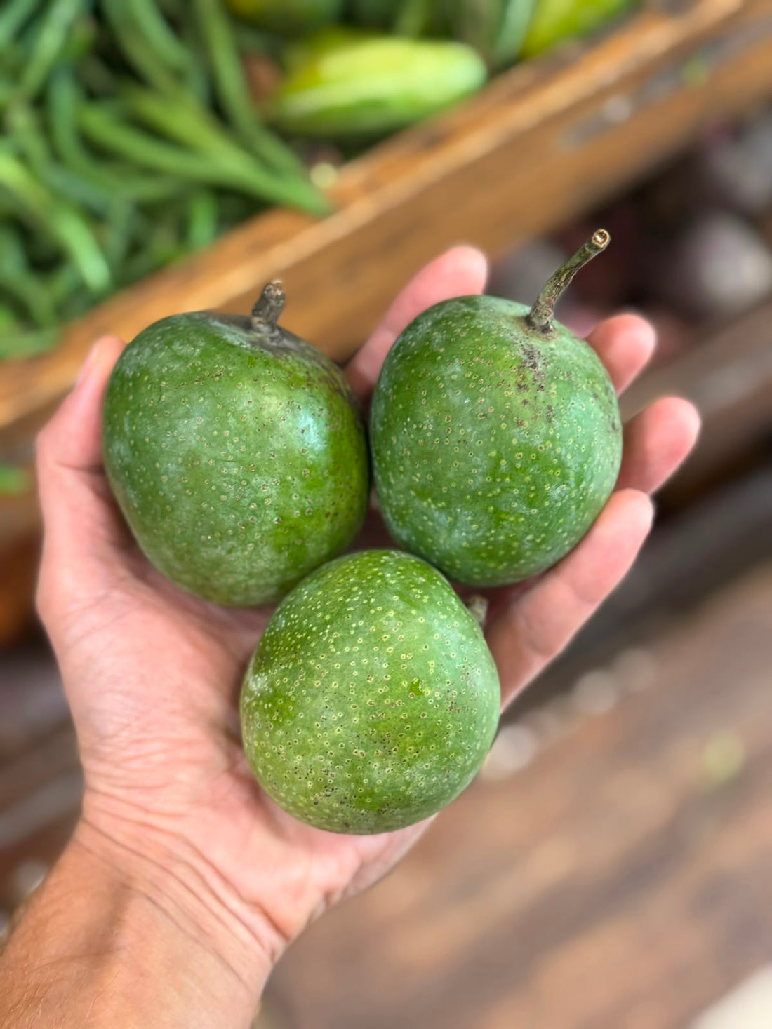 Mangoes | Raw Mangoes (Uttar Pradesh)- 100% Sour &amp; Tangy Kacha Aam - Rich In Vitamin C, Reduces Cholesterol -Organically Grown