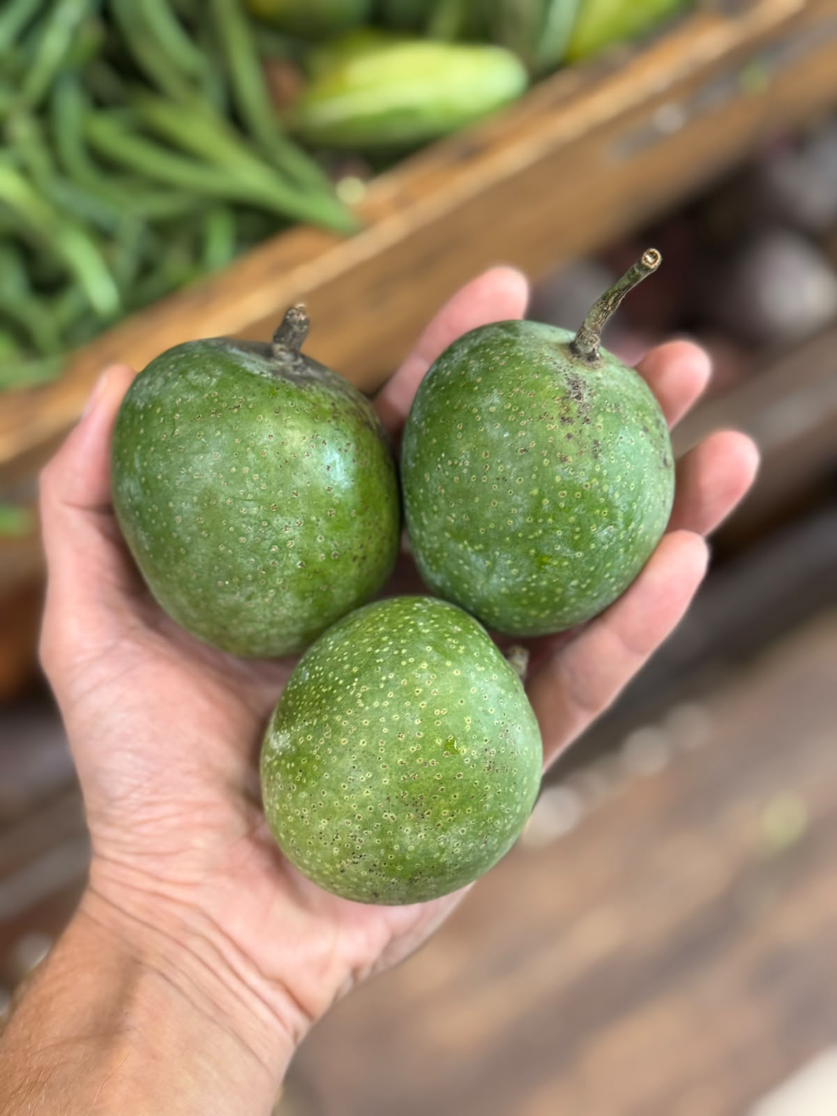 Mangoes | Raw Mangoes (Uttar Pradesh)- 100% Sour &amp; Tangy Kacha Aam - Rich In Vitamin C, Reduces Cholesterol -Organically Grown