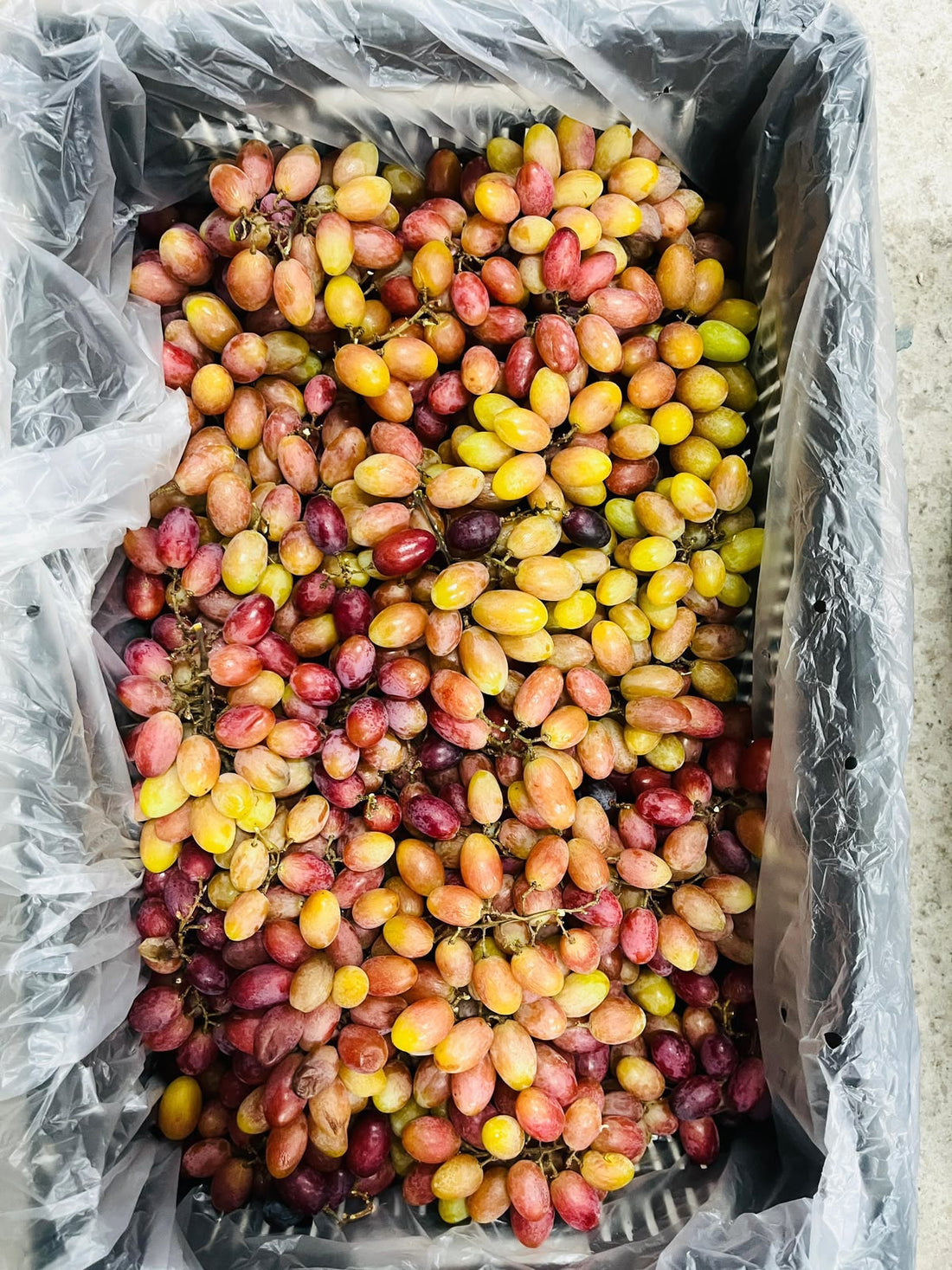 Grapes | Red Cherry grapes (Nashik) -Subhash Palekar Krushi Natural Famring- Organically Grown