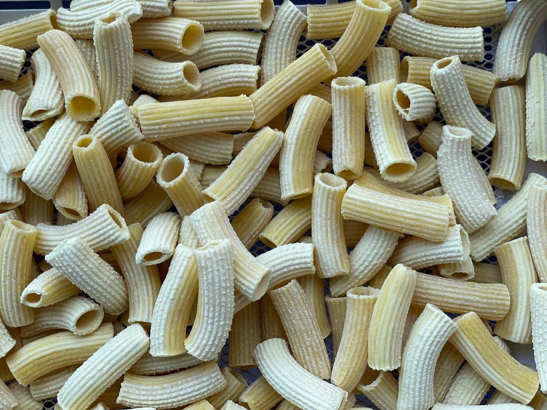 Pasta | Rigatoni Pasta - Organic Semolina - Vegan, No Maida &amp;amp; No Added Preservatives - Our Pasta Lab - 250gm