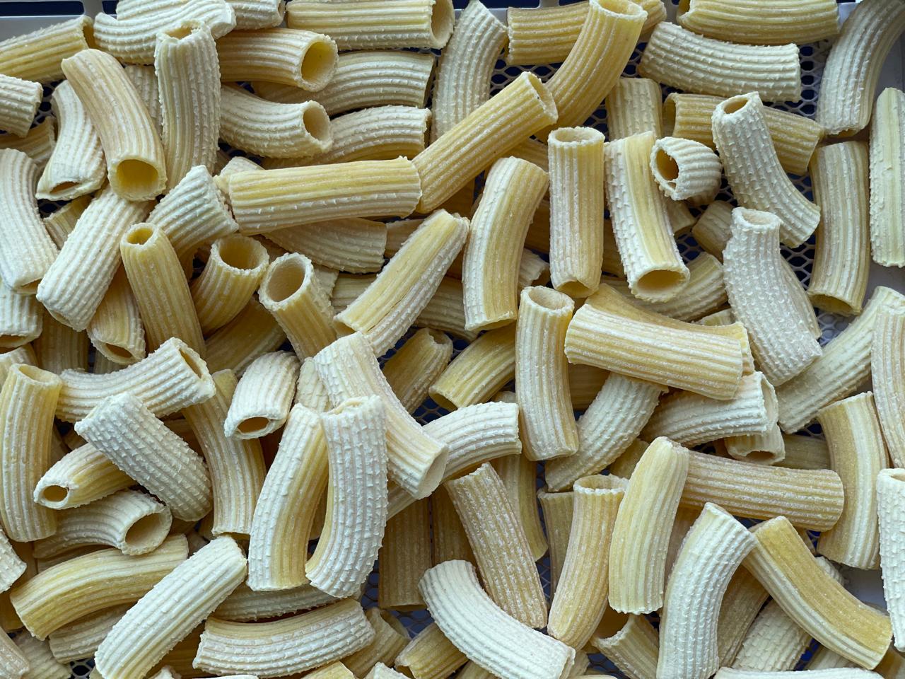 Pasta | Rigatoni Pasta - Organic Semolina - Vegan, No Maida &amp;amp; No Added Preservatives - Our Pasta Lab - 250gm