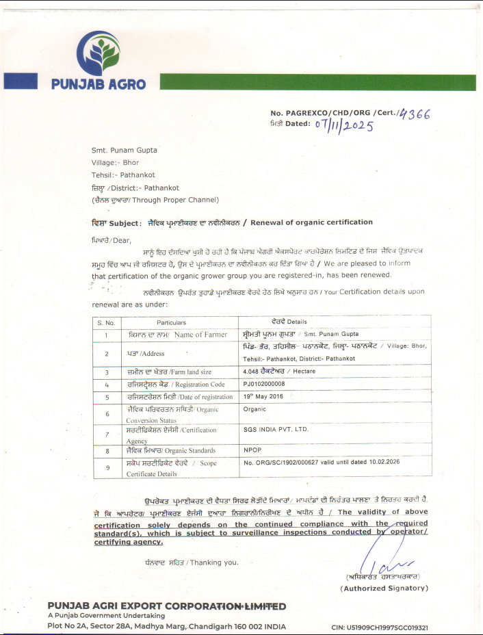 Mandarin | (Pathankot, Punjab) - Certified organic