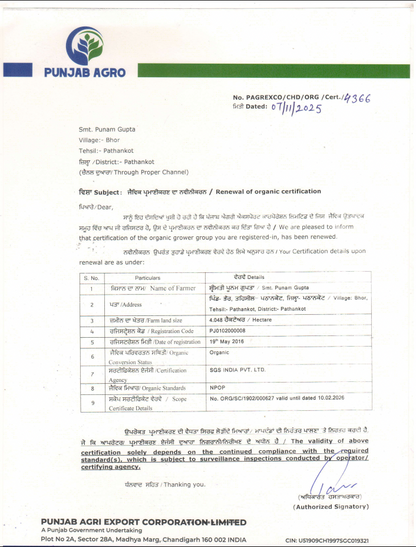 Mandarin | (Pathankot, Punjab) - Certified organic