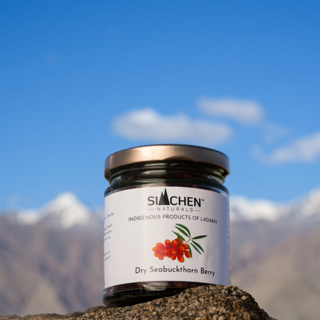 Seabuckthorn Berries |  Dry - (Nubra valley, Leh Ladakh) - 100% Natural - Siachen Naturals - 70gm