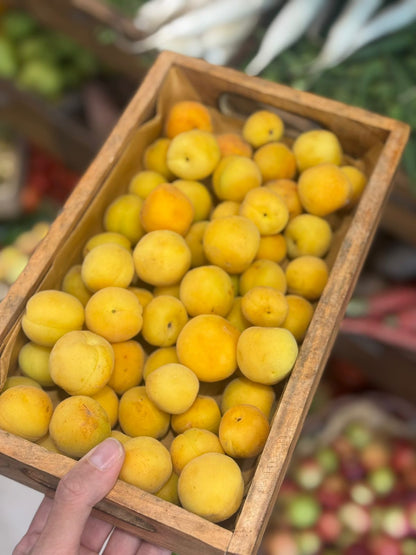 Apricot Fruit | Shakarpara Apricot (Pachhad, Sirmaur, Himachal Pradesh) - Organically Grown
