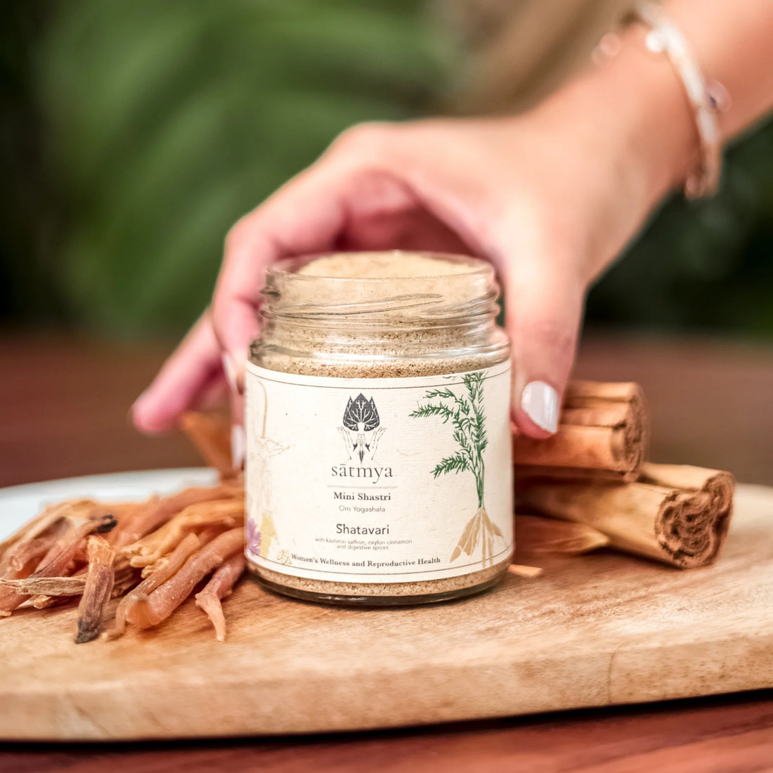 Shatavari Powder | (With Kashmiri Saffron, Ceylon Cinnamon & Digestive Spices) - All Natural - Immunity Booster, No Added Sugar, No Artifial Colour & Flavour - Satmya - 100gm