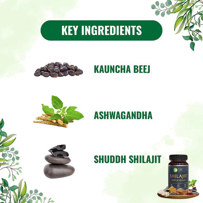 Shilajit Triple Gold (Fights Fatigue And Promotes Vitality) - 700mg - Natural - Indian - Stamina &amp; Vigor - Pure Nutrition – 30Capsule