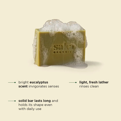 Soap |Alpine Whisper (Eucalyptus &amp; Camphor Soap) – Handcrafted – Saka Organics – 120gm