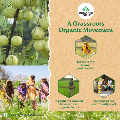 Simply Chamomile Tea (Soothing &amp; Relaxing) - Caffeine Free - Organic - Indian – Organic India – 25 Tea Bags