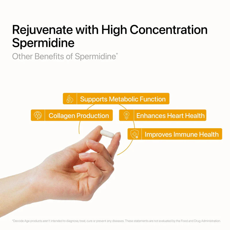 Spermidine | Activates Autophagy, Supports Cognitive &amp; Skin Health -  Vegan, Gluten Free, Non GMO &amp; Sugar Free - Decode Age – 60 Vegan Capsules