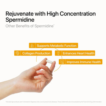 Spermidine | Activates Autophagy, Supports Cognitive &amp; Skin Health -  Vegan, Gluten Free, Non GMO &amp; Sugar Free - Decode Age – 60 Vegan Capsules