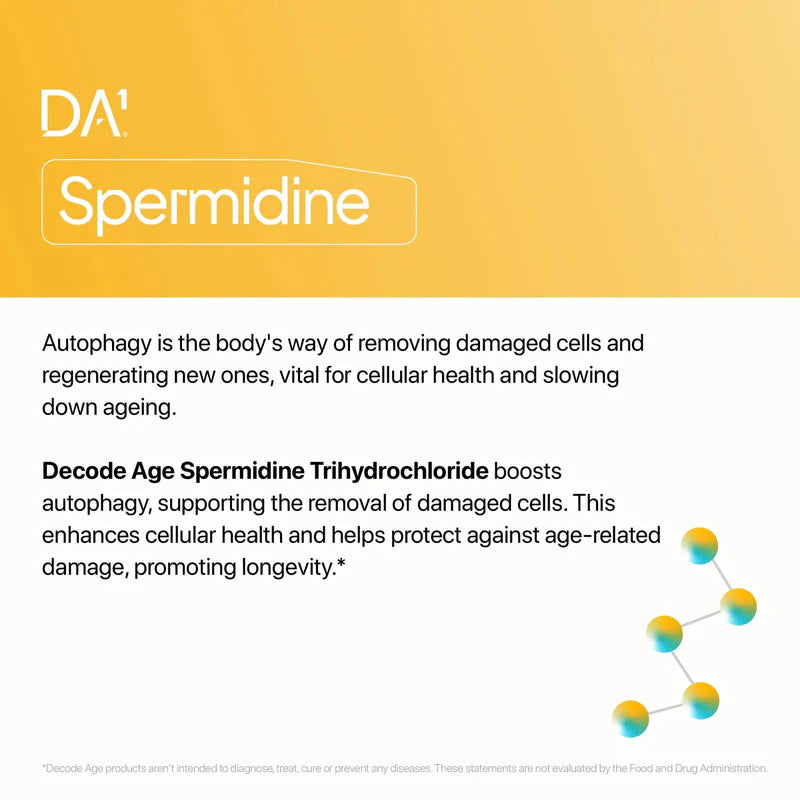 Spermidine | Activates Autophagy, Supports Cognitive &amp; Skin Health -  Vegan, Gluten Free, Non GMO &amp; Sugar Free - Decode Age – 60 Vegan Capsules
