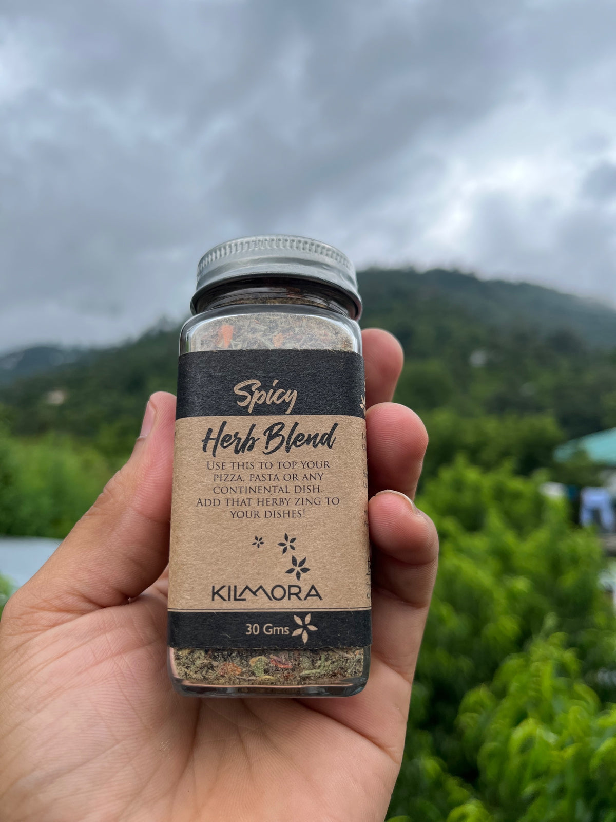 Seasoning | Garlic Flakes - No Additives, No Artificial Flavours &amp; Preservatives Free - Kilmora - 30gm