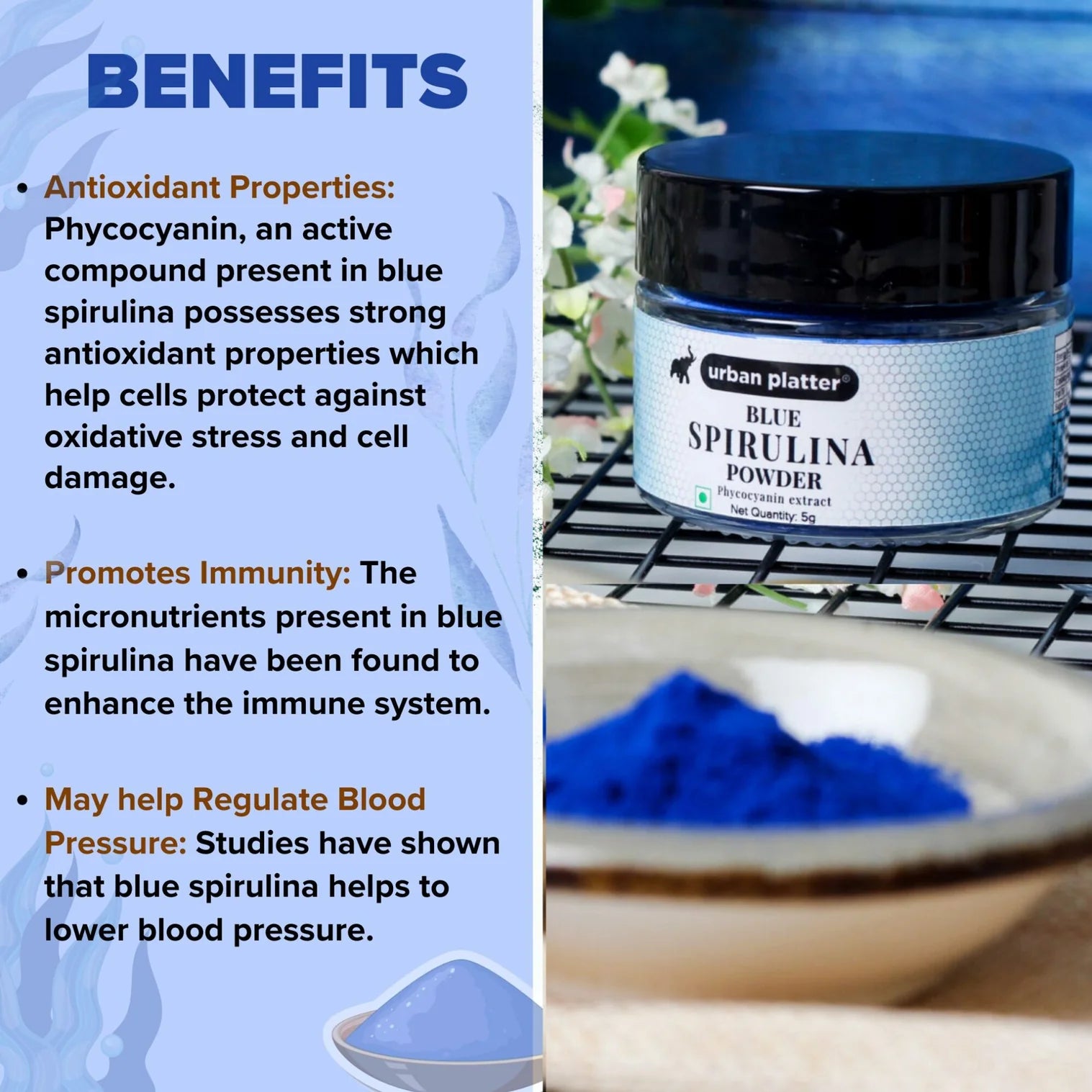 Spirulina Powder | Blue (Phycocyanin Extract) - Urban Platter - 5g