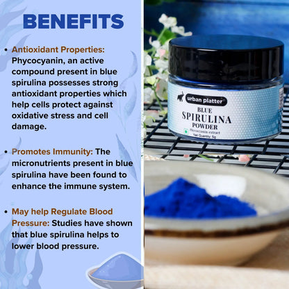 Spirulina Powder | Blue (Phycocyanin Extract) - Urban Platter - 5g