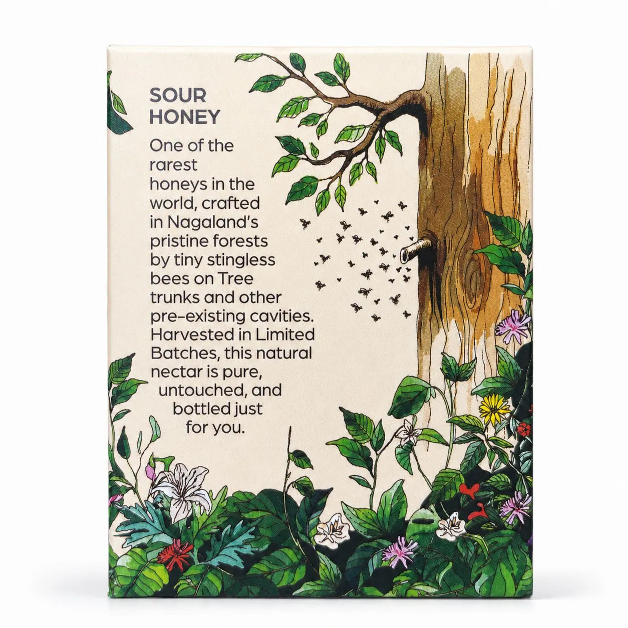 Honey | Organic Wild Forest Honey (Wildflower) - Stingless Bee Honey - Nagaland - 100% Pure &amp; Natural - Galho - 120gm