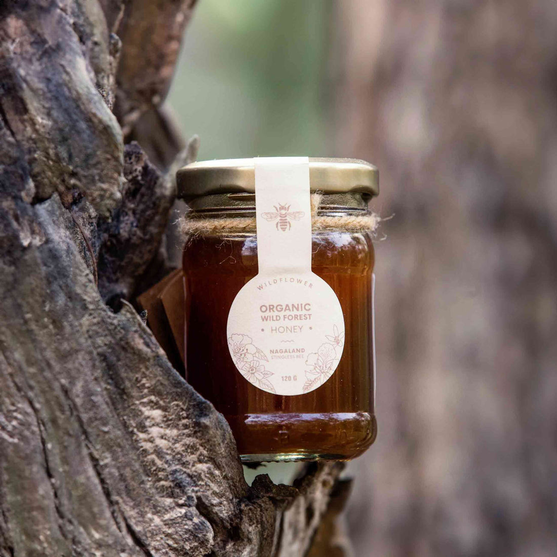 Honey | Organic Wild Forest Honey (Wildflower) - Stingless Bee Honey - Nagaland - 100% Pure & Natural - Galho - 120gm