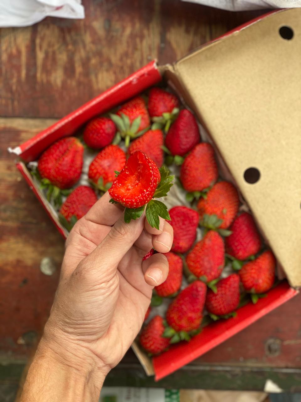 Strawberries - Mahabaleshwar - Certified Organic - 500gm