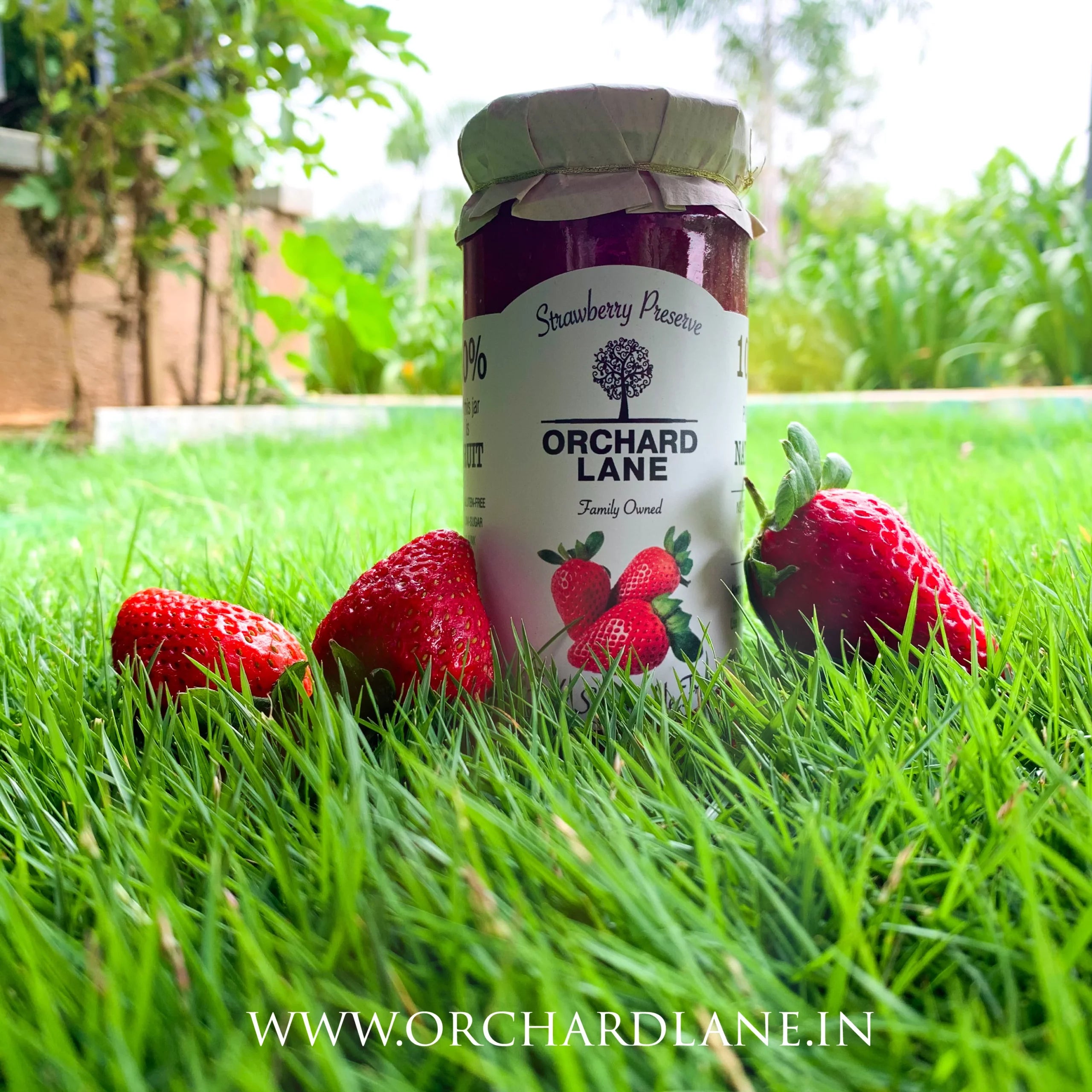 Strawberry Preserve – Orchard Lane – 300gm