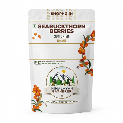 Sun Dried Berries | Seabuckthorn Berries Sun Dried - Natural - No Added Preservatives &amp;amp; No Added Chemical - Himalayan Gatherer - 100gm